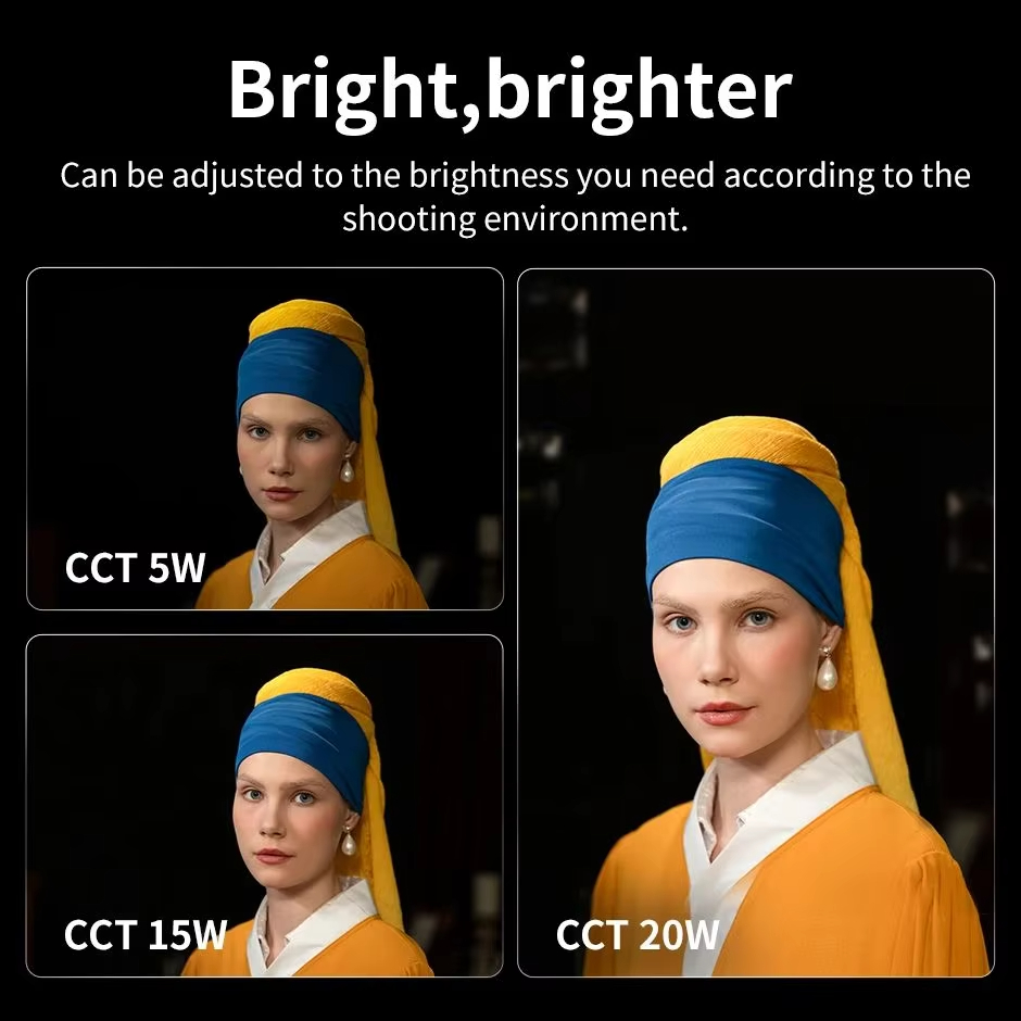 Luz LED Bicolor ZHIYUN FIVERAY - Photography Lighting Styles reseña y precio