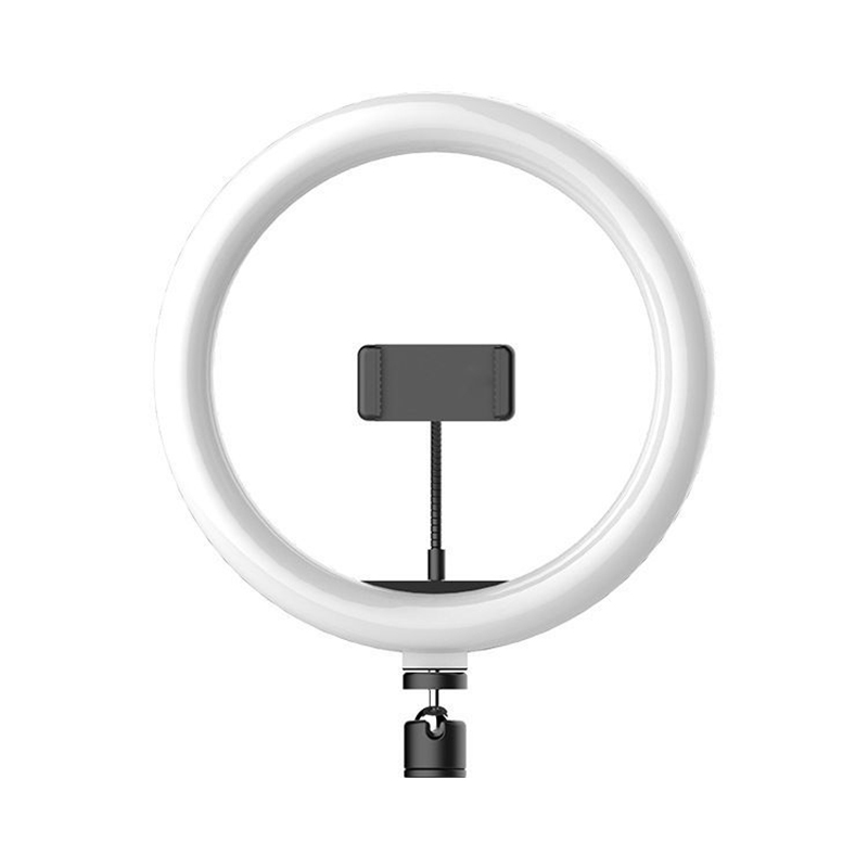 Anillo de luces LED de 16cm, 2 - Photography Lighting Youtube reseña y precio