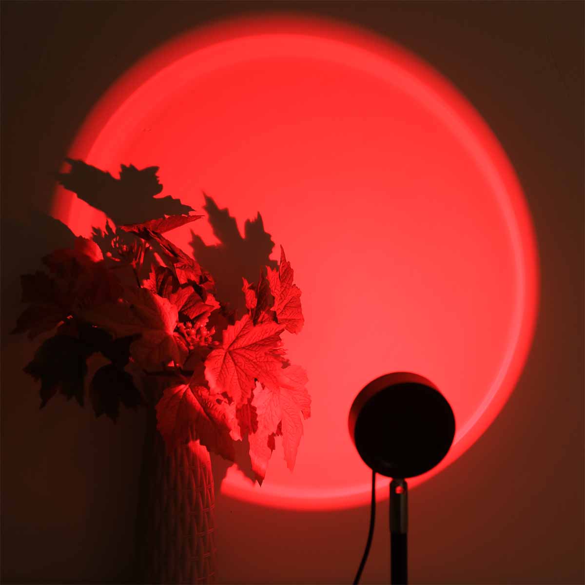 Lámpara de Proyección de Atard - Photography Lighting Wall reseña y precio