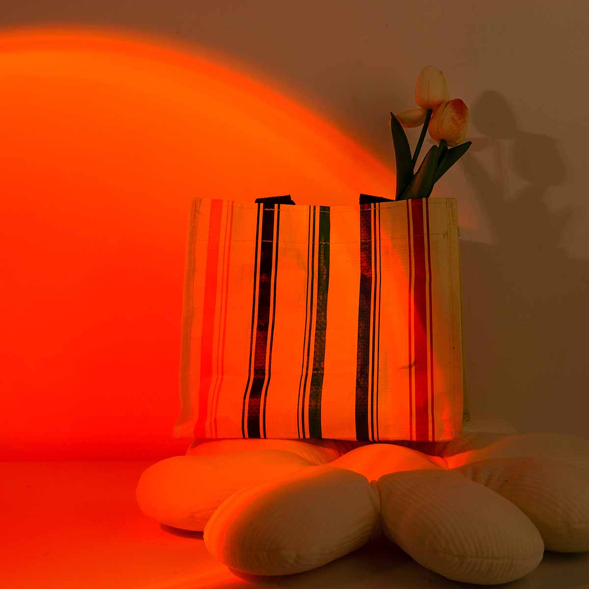 Lámpara de Proyección de Atard - Photography Lighting Wall reseña y precio
